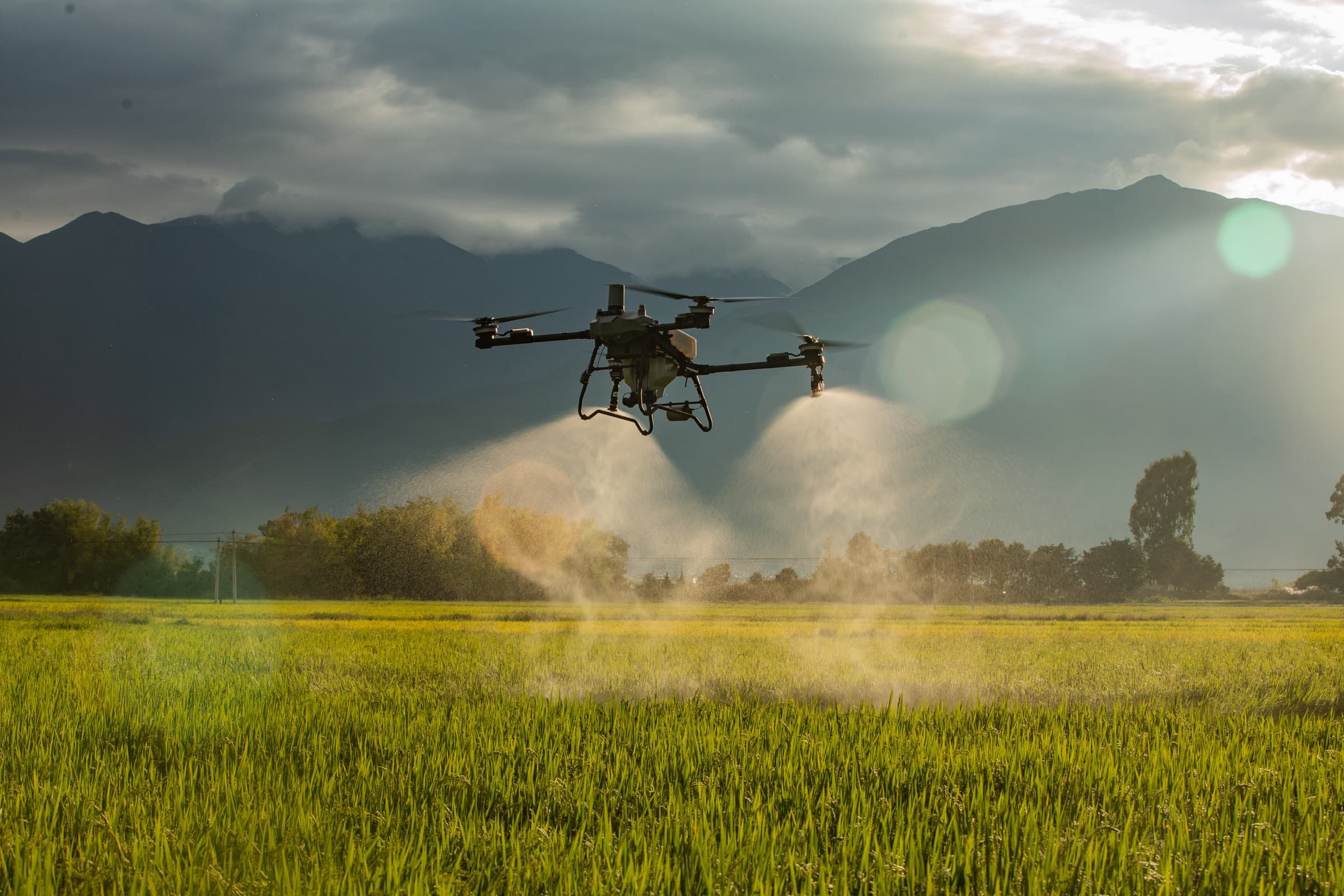 Tarım arazisinde çift nozullu ilaçlama yapan zirai dron