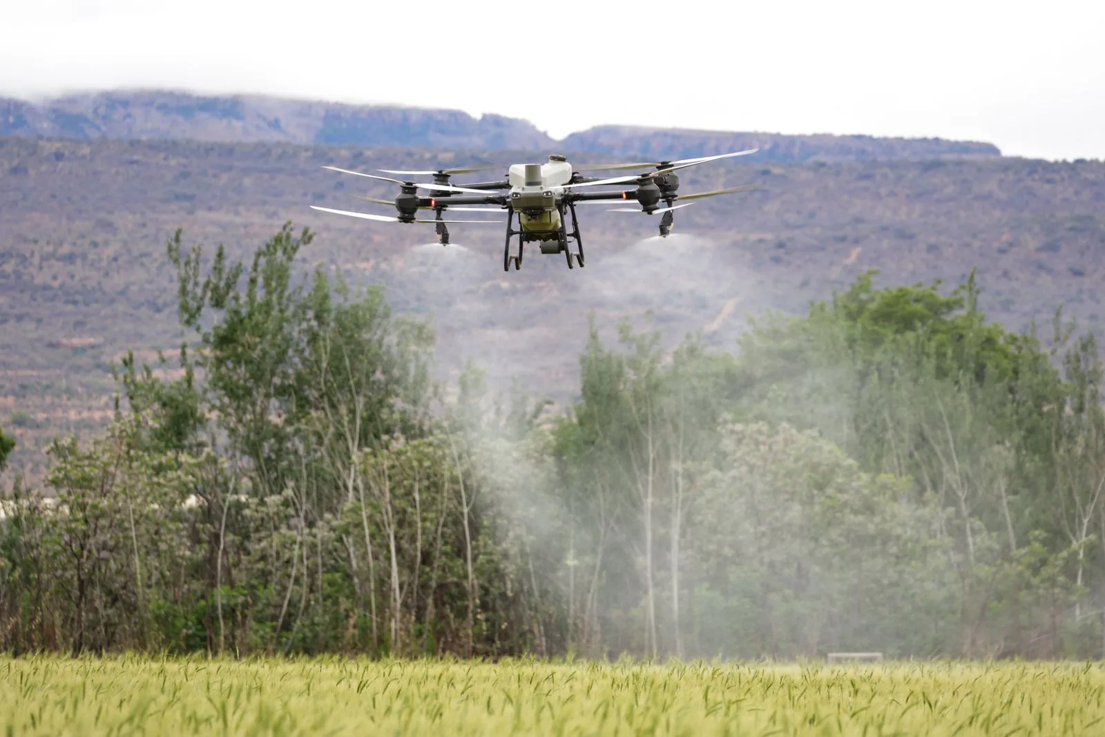 Tarım arazisinde ilaçlama yapan zirai bir dron