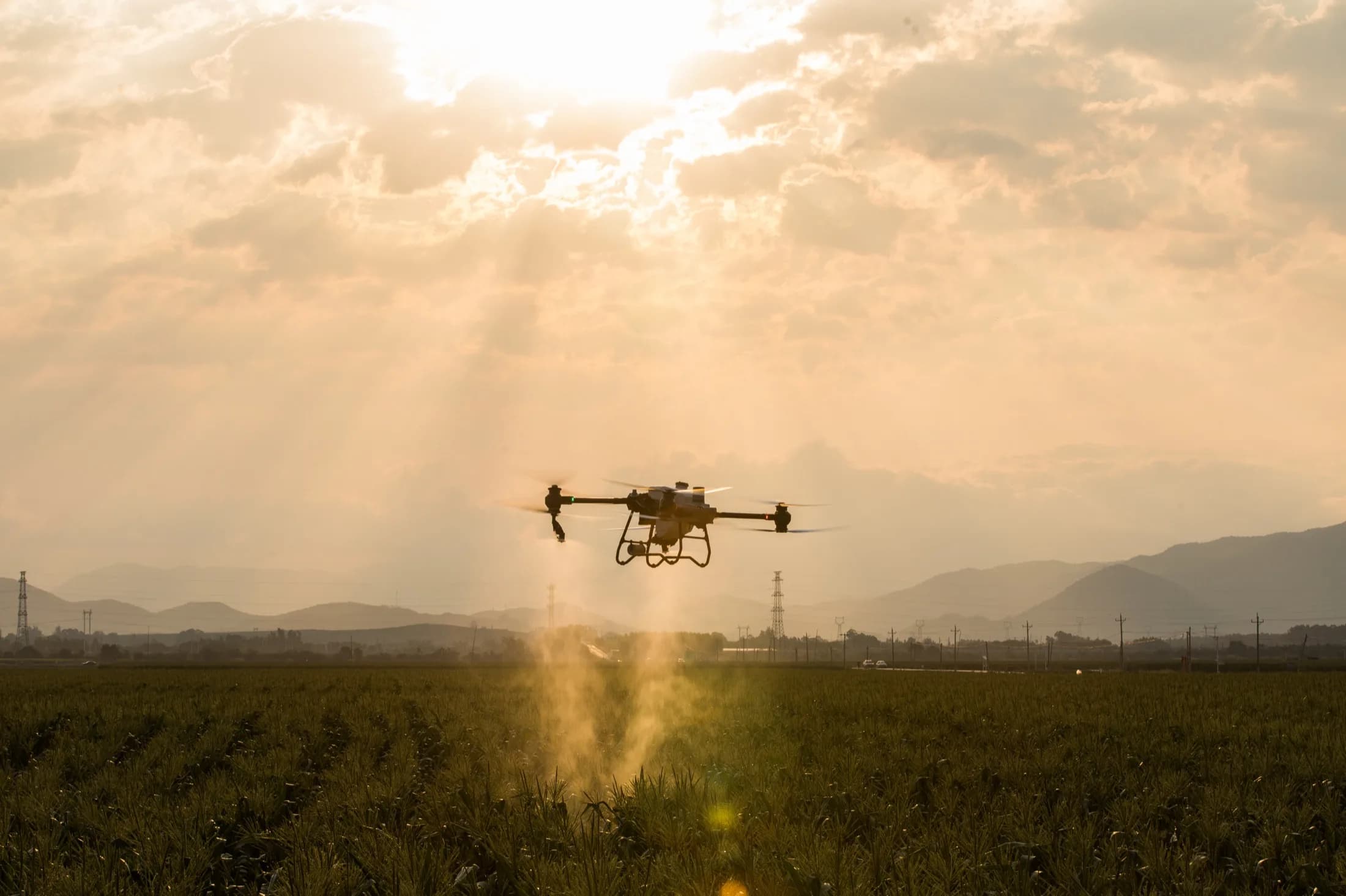 Güneşe karşı siluet hâlinde ilaçlama yapan zirai dron
